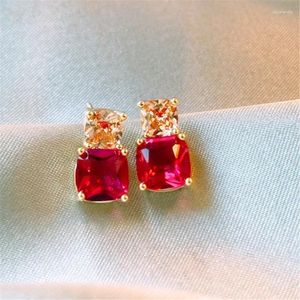 Brincos de luxo zircão vermelho para mulheres delicado temperamento simples joias brincos bijuterias