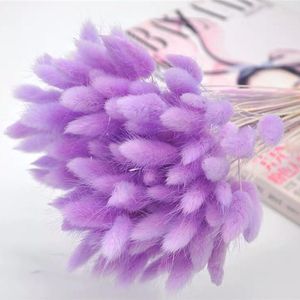 Decorative Flowers 1 Bunch Natural Pampas Grass Dried Flower Tail Bouquet Herbe Lagurus Ovatus Home Decor Wedding Accessories