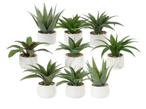 2021 New Oem Customized Indoor Artificial Tropical Plant Realistic Artificial Aloe Vera Plant For 3448542