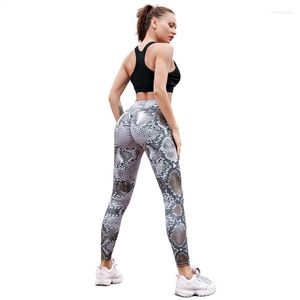 Leggings femininas Mulheres Fast Snake Branca Impressa Black PU Leather Patckwork Workout Hip Pleated