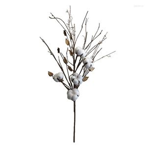 Decorative Flowers 26 Inch Natural Dried Cotton Plant Stems 5 Heads Bolls Home Furnishing Flower Decoration