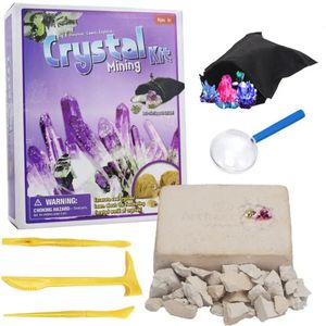 Novel Games Mining Toys Kids DIY Archaeological Crystal Pirate Treasure Gems Archaeology Dig Out Mineral Education Toy for Children 231129