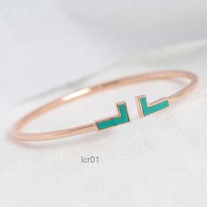 t Bracelet Designer Bracelets Jewelry Jewlery Woman Gold Bangle Bangles Jewellery Stainless Steel Jewelries Bijoux Femme Armband Pulsera Braccialikj2z