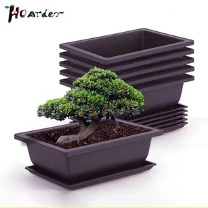 Square Plastic Bonsai Plant Pots with Tray for Flowers and Succulents
