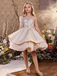 Flickor födelsedagstävlingsklänningar barn barn prinsessor fest blomma flicka elegant kristall pärlstav bröllop klänning vestidos för 2-14 år julklänning 403