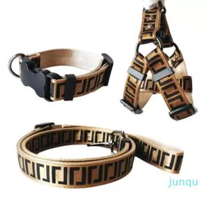 Coleiras de luxo para cães Conjunto de trelas de designer para cães Cintos de segurança Coleira para animais de estimação e corrente para animais de estimação para cães pequenos, médios e grandes, gato, chihuahua P7591815