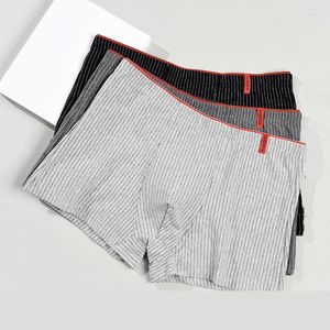 Mutande Boxer da uomo Pantaloncini di cotone Coppia maschile Set sexy Calecon Lotto Soft Box Mutandine da uomo Homme Boxer Intimo per uomo