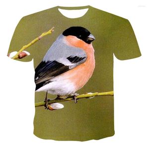 Camisetas masculinas Robin T-shirt Desenho de arte realista Pintura da natureza Birds fofos de verão Tops de pescoço redondos casuais