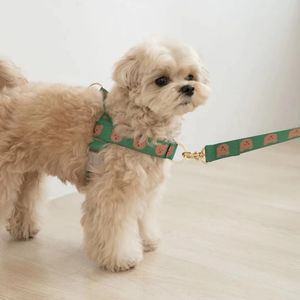 Coleiras para cães Trelas Ins Corda de tração para cães 2M Conjunto de arnês para cães Ajustável Colete de urso para cães Filhote de cachorro Pet Leash Dog Walking Decor 231129