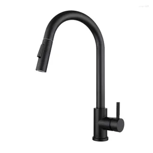 Kitchen Faucets Matte Black Faucet Cold And Mixer Pull Out Two Function Deck Mounted Tap With Free Hose