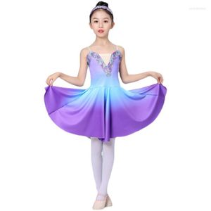 Stage Wear Girls Ballet Skirt Suspender Gauze Children's Pengpeng White Swan Dance Performance Dress