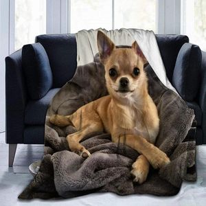 Filtar söta chihuahua hund flanell filt sängkast för sovrum sängkläder dekor flera storlekar fluffiga plysch mjuk bäddsoffa
