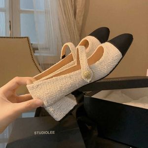 Klädskor druvmamma liten doft tjock häl Mary Jane Single Shoes Women's Spring 2023 New French Square Head Buckle Mid Heel Shoes 230201