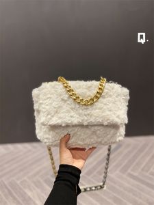 Vintage Fashion Winter Women Shoulder Bags Designer Crossbody Bag New Popular Luxury Handbags CC 19 Chain Lady Clutch Purses With Silver Buckle Designers Flap Purse