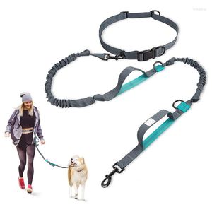 Dog Collars Multifunctional Hands Free Leashes Sports Leash Scalable Leads Walking Accessories Small And Medium