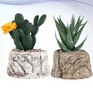 Ghirlande di fiori decorativi 2 pezzi Simulazione Pianta artificiale succulenta Bonsai Decorazione desktop Piante finte in vaso verde (cactus e aloe)