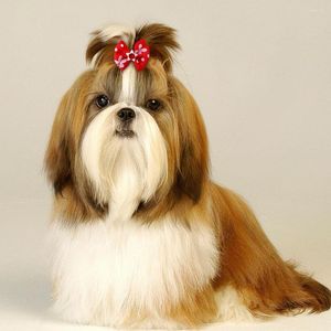 Dog Apparel 10Pcs Hair Bows Diamond Accessories Rubber Bands Dogs Pets Pet Grooming Products