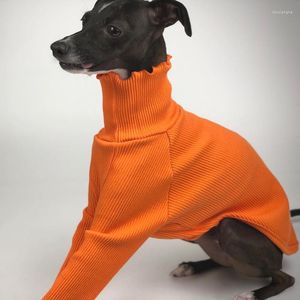 Abbigliamento per cani Vestiti di taglia piccola e media Tinta unita Camicia con colletto alto Accessori per maglione levriero