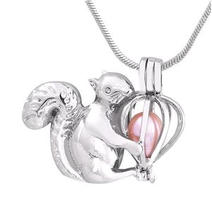 Anhänger Halsketten Beautif Eichhörnchen Form Käfig Anhänger Oyster Medaillons Tier Perle Überzogene Silber Schmuck Für Frauen P137 Drop Lieferung Dhbwr