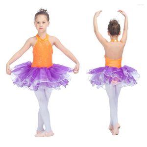 Stage Wear Retail Wholesale Sequin Lycra Bodice Tulle Skirts Halter Leotard Dress Tutu For Performance All Sizes