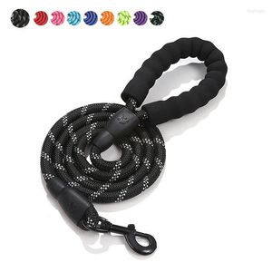 Hundhalsar Big reflekterande koppel Hållbar nylon Grundläggande sele Leashes Medium Stora hundar Krage Running Walking Lead Rope för Labrador