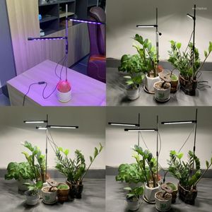 Grow Lights LED Light Phyto Lamp Full Spectrum Ground-plug Plant With Control Timer Indoor Phytolamp For Plants Flower