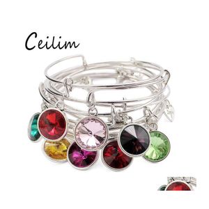 Bangle Selling Fashion USA Birthstone Pendant Charms Expanderbara tr￥d Justerbara armband f￶r kvinnor M￤n Lucky Jewelry Fit Brithday D OteBQ