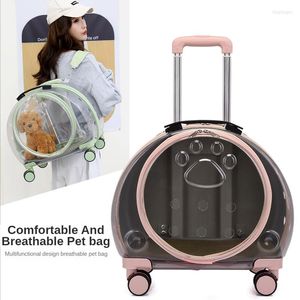 Trasportini per gatti PC Pet Pull Rod Box Borsa trasparente Air Dog Esci Breathe Transport Portable Bubble Backpack Carrier