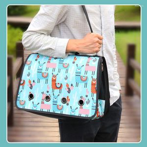 Hundbilstol täcker bärbara kattbärare väskor axelväska blå rosa husdjur åtta håls andningsväska vikbara utomhusresor för