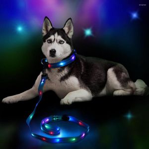 犬の襟の光る襟とリーシュセットUSB充電式フラッシュナイロン3フラッシュモードライトアップリーシュ