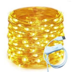 Strängar 50/100 LED USB Fairy Light Outdoor Lamp Copper String Lights For Holiday Christmas Party Wedding Waterproof Garden Garland Garland