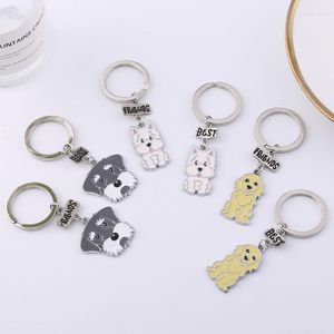 Keychains Keychain Dog Lovers Friends Presente fofo schnauzezer anel de jóias de jóias de carrinho de coração de coração charmkeychains forb22