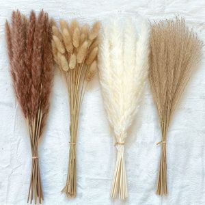 Dried Flowers 100Pcslot Cream Pampas Grass Fluffy Room Phragmites Decoration ral Bunny Tail Grass Dried Flowers Bouquet Boho Home Decor 230204