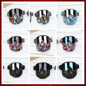 ZZ151 Ski-Snowboard-Motorrad, winddicht, Cruiser-Klappbrille, abnehmbare Gesichtsmaskenabdeckung für Biker-Helm mit Mundfilter