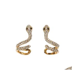 Stud przesada węża kryształa dla kobiet kryształowy oświadczenie po kolczykach moda biżuteria do ucha dostawa otcti