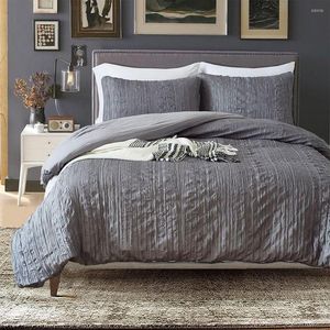 Zestawy pościeli wysokiej jakości zestaw miękkich łóżka solidne krotnie w stylu kołdry z poduszkami z poduszkami 3PCS łóżko dom