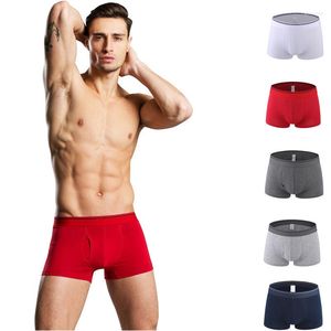 MUITOPANTES 5PCS 2023 Cotton Men's Boxer Rouphe Pants abrindo shorts Homme Sexy Brand Cuecas