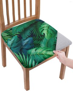 Chair Covers Green Leaves Plants Tropical Jungle Seat Cushion Stretch Dining Cover Slipcovers For Home El Banquet Living Room