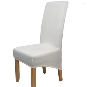 Stol täcker modern minimalistisk elastisk täckning i ett stycke hemrestaurang med hög rygg matbord och säte