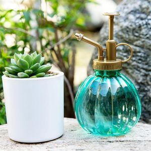 Vattenutrustning Retro Pot Flower Antique Plastic Glass Bronze Style Plants Dusch Crafts Bottle Small Garden Tools Tools