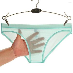 Underpants Mesh Briefs Underwear Men Gay Transparent Panties Sexy Low Waist See Through Sissy Lingerie Breathable Ultra Thin Tight