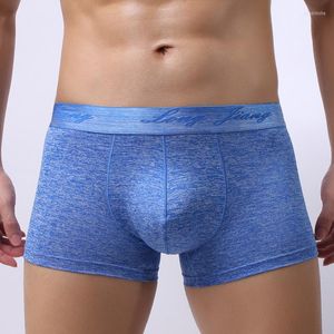 Underpants Sexy Underwear Men Boxers Shorts Homme Solid Slim U Convex Pouch Mid-waist Cuecas Calzoncillos Marcas S-XL