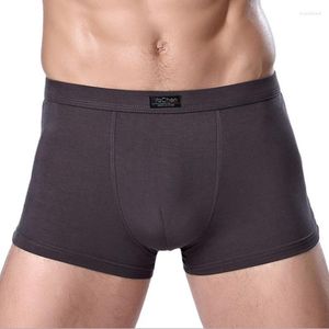 Unterhosen Marke Kleidung Herren Unterwäsche Boxer Bambusfaser Casual Männliche Männer Kurze Mann Einfarbig 1 Stück