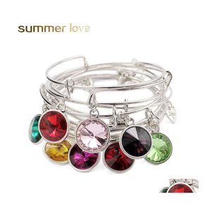 Charm Bracelets Birthstone Sier Color Expandable Wire Bracelet Bangles For Women 12 Colors Diy Bangle Friend Birthday Gifts Wholesal Dhkpo