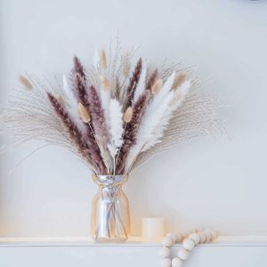 20 st torkade blommor naturliga pampas gräsbukett fleur sechee naturelle flores artificiell mariage dekoration hem dekor y