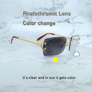 Diamond Cut Sunglasses Photochromic Lenses Color Change Two Colors Lenses 4 Season Carter Y2K Mens Shades Eyewear