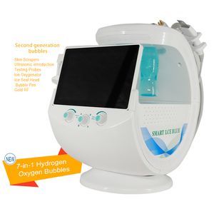 Portable Facial Hydro Ice Blue Small Bubble V Face Lifting Machine Face Care Devices Cleaner Facial Treatment Blackhead Skin Management Hydra Dermabrasion Machine