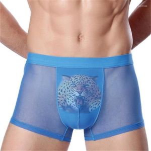 Mutande di marca di seta del ghiaccio biancheria intima da uomo sexy boxer trasparenti moda leone uomo taglia grande L-XXXL