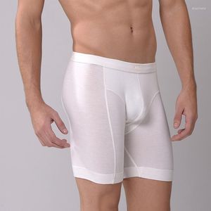 Underpants 2PCS/Lot Good Quality Men Underwear Men's Long Boxer Sexy Pants 5 Colors 6XL 7XL Modal