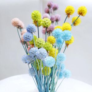 Dekoratif Çiçek Çelenkler 10 PCS/Bunch Sonsuza Kadar Doğal Kurutulmuş Çiçek Top Taze Çam Solucan Meyve Ebedi Yeldirme Evi Dekorasyon Dolay